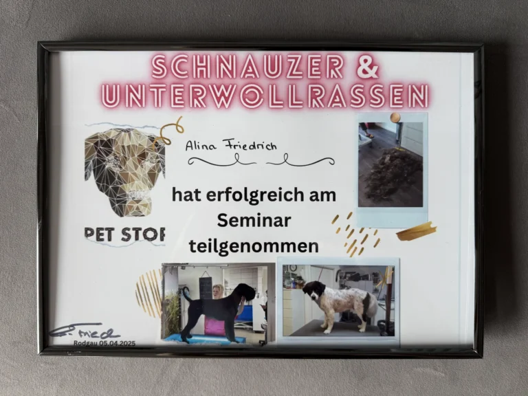 Fellsilhouette-Zertifikat-10