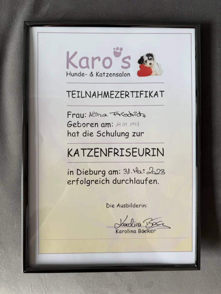 Fellsilhouette-Zertifikat-2