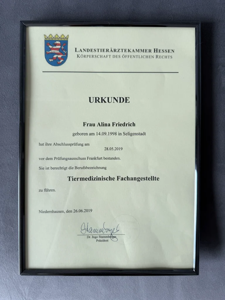 Fellsilhouette-Zertifikat-3