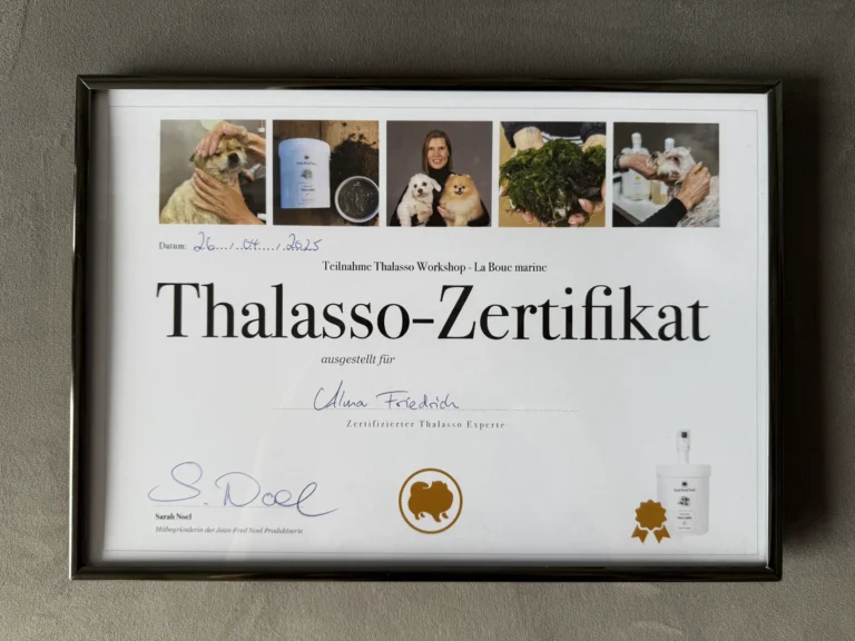 Fellsilhouette-Zertifikat-4