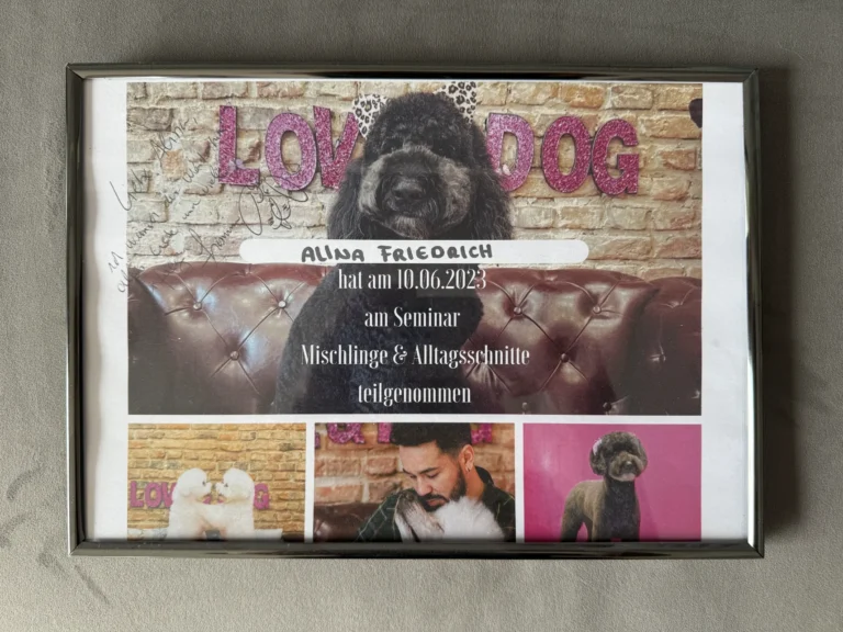 Fellsilhouette-Zertifikat-5