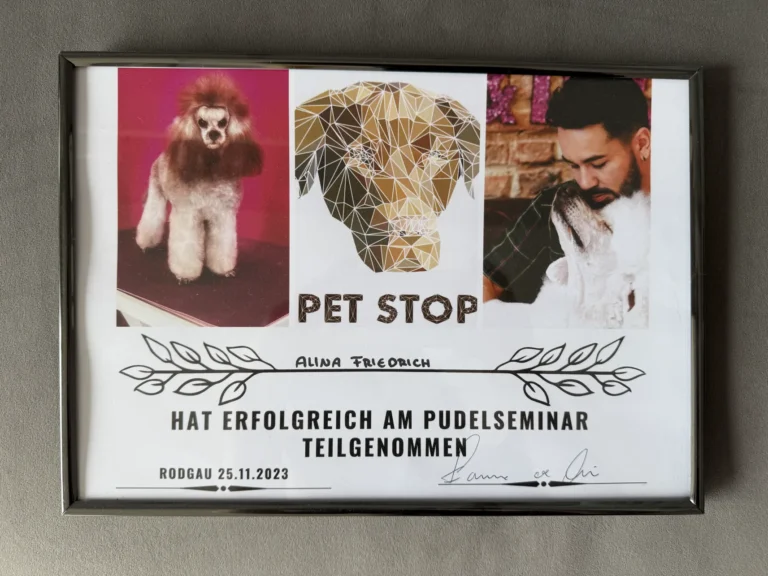 Fellsilhouette-Zertifikat-6