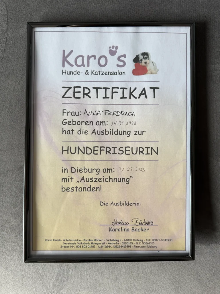 Fellsilhouette-Zertifikat-7