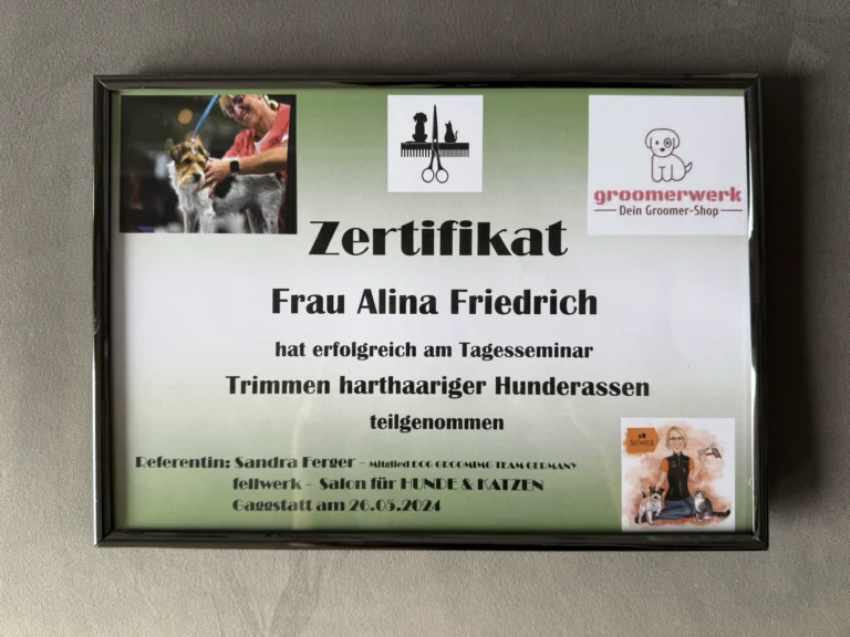 Fellsilhouette-Zertifikat-8