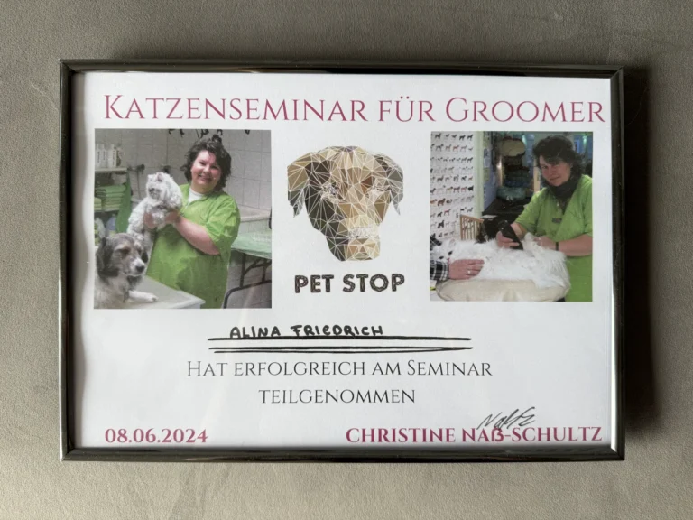 Fellsilhouette-Zertifikat-9